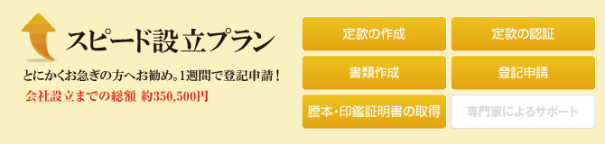 スピード設立プラン スピード設立プラン